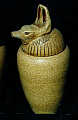 Canopic Jar jackal