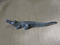 Crocodile