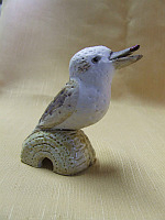 Kookaburra pie bird