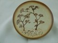 Owl
                  platter Owl in forest