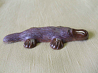 Platypus